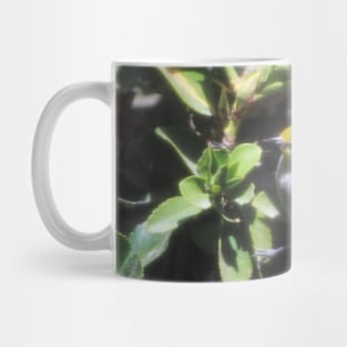 Small Verdin 3 Mug